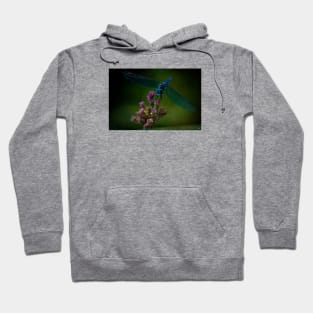 Dark Dragonfly Hoodie